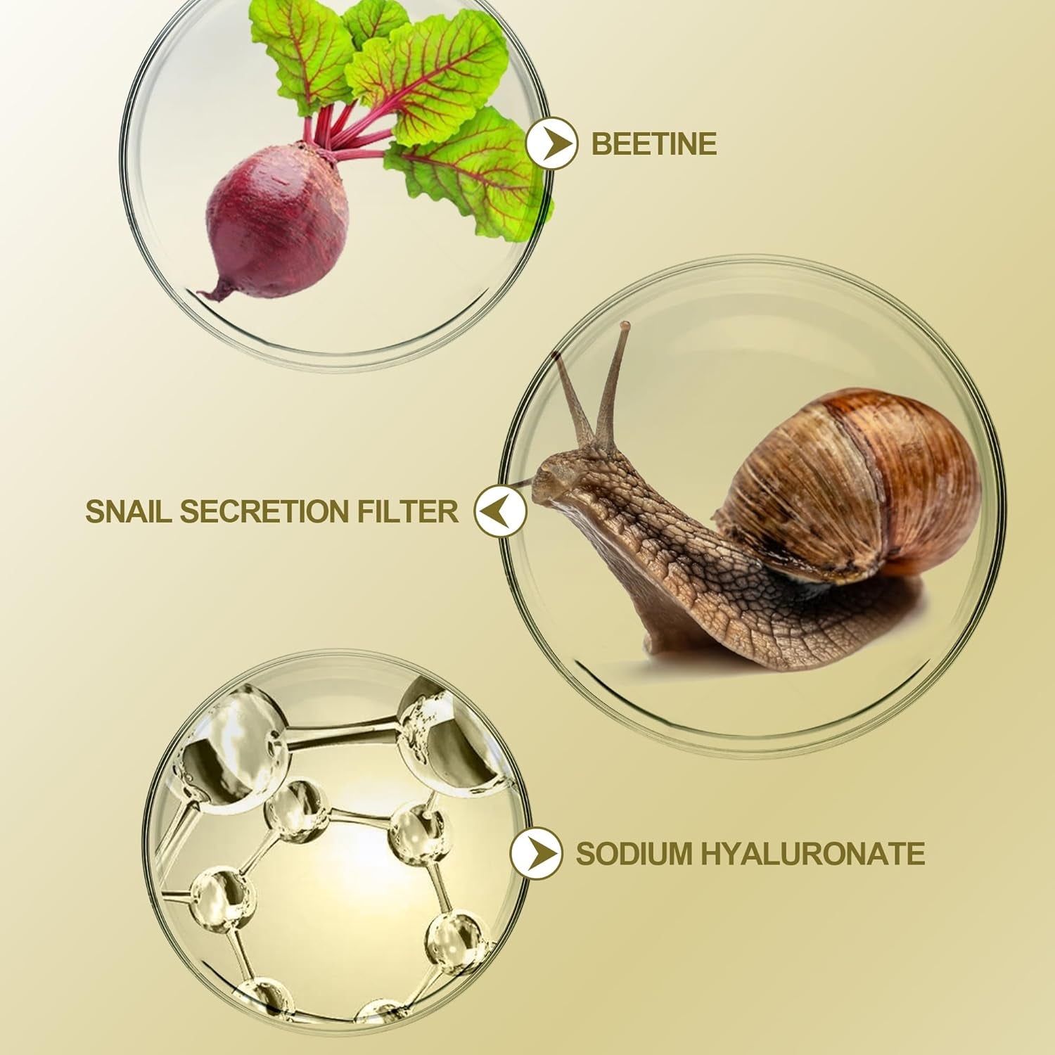 Snail Facial Serums,Hydrating Serum for Face with Snail Secretion Filtrate for Dull Skin & Fine Lines, Anti-Aging,Wrinkle Care, Skin Nutrition