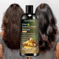 YUITIKUE Ginger & Rosemary Extract Shampoo 5-in-1: Intensive Nourish, Strengthen Hair, Reduce Breakage